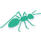 Ants Cpntrol Melbourne